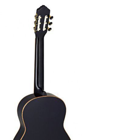 Ortega R221BK Family Series Pro черная с чехлом