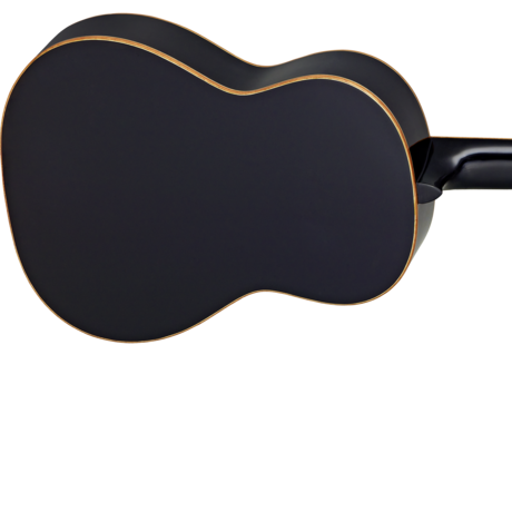 Ortega R221BK Family Series Pro черная с чехлом