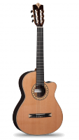 Alhambra Crossover CS-3 CW Serie S E2 со звукоснимателем